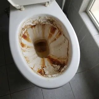 Toilet med tyk brun kalkskorpe før behandling