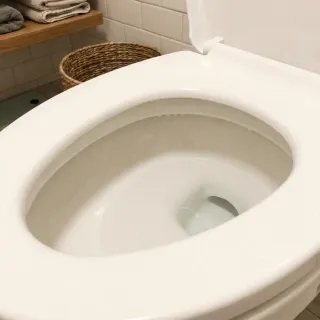 Det samme toilet uden striber efter behandling